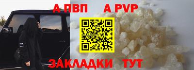 a pvp Тара