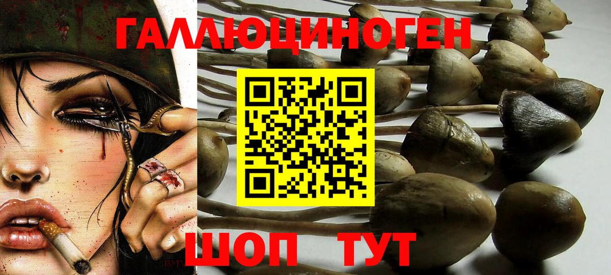 Галлюциногенные грибы Magic Shrooms Орск